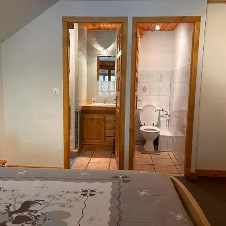 Appartement Chamonix Lejlighed Chamonix