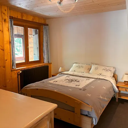 Апартаменты Appartement Chamonix Шамони